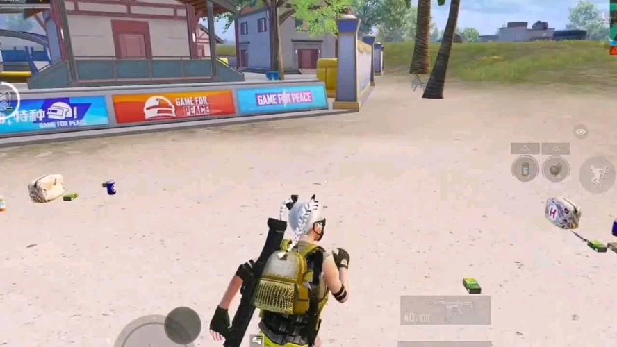 和平精英辅助【COCO】